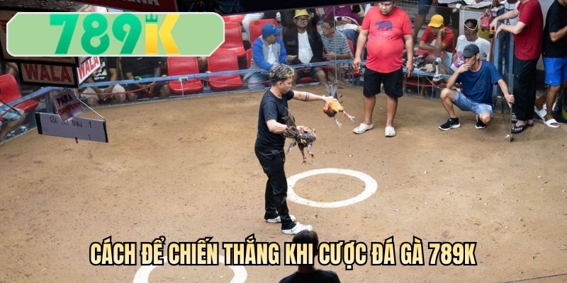 Cách để chiến thắng khi cược đá gà 789K