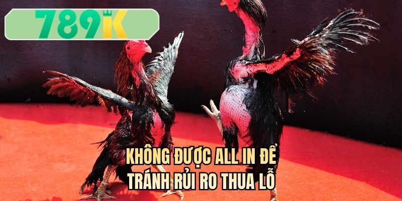 Không được all in để tránh rủi ro thua lỗ